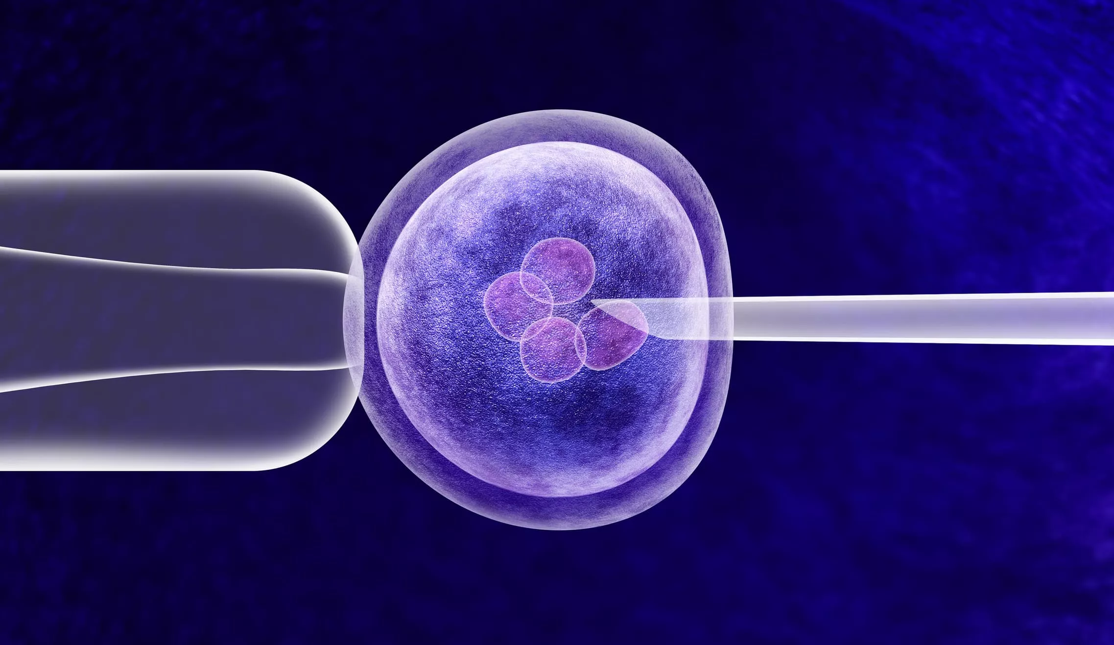 New, stricter regulations for IVF laboratories