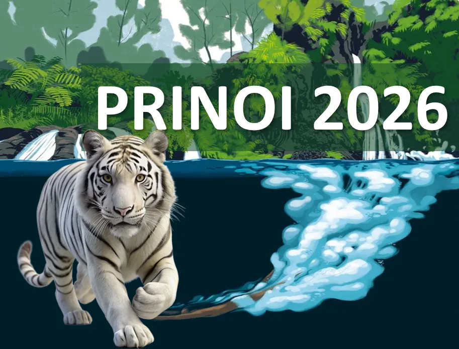 Rendez-vous à la Journée Régionales de Prévention du Risque Infections en Océan Indien
